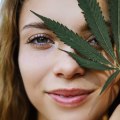 Navigating Legal Gray Areas in the Cannabis Industry: What You Need to Know