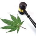 Understanding Local Laws and Regulations around Cannabis Use: Navigating the Digital Age