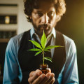 Financial Management for UK Cannabis companies in the Digital Age