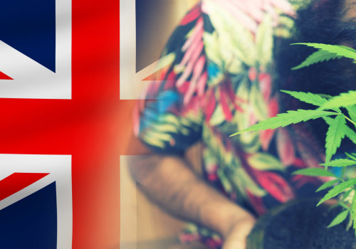 What category is cannabis in the uk?