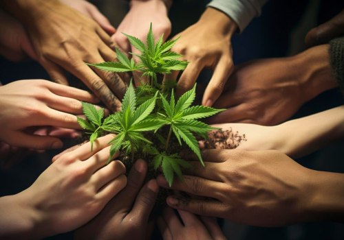 Cannabis Laws and Policies in Different Countries: Understanding the Global Legalization Movement